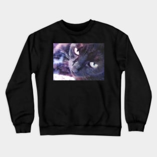 Galaxy cat Crewneck Sweatshirt